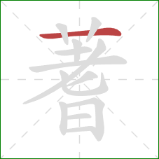 蓍的笔顺第1画:横 蓍的笔顺第1画:横
