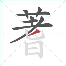 蓍的笔顺第8画:撇 蓍的笔顺第8画:撇