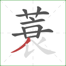 蓑的笔顺第10画:撇 蓑的笔顺第10画:撇