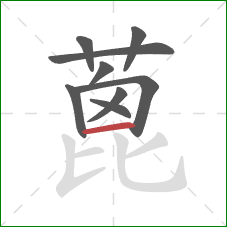 蓖的笔顺第9画:横 蓖的笔顺第9画:横