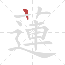 蓮的笔顺第1画:竖 蓮的笔顺第1画:竖