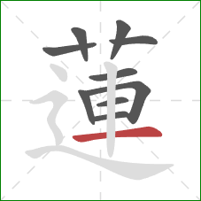蓮的笔顺第10画:横 蓮的笔顺第10画:横