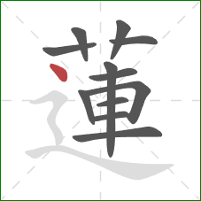 蓮的笔顺第12画:点 蓮的笔顺第12画:点
