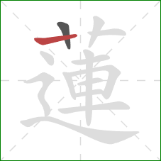 蓮的笔顺第2画:横 蓮的笔顺第2画:横