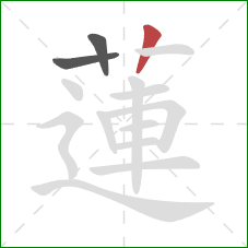 蓮的笔顺第3画:竖 蓮的笔顺第3画:竖