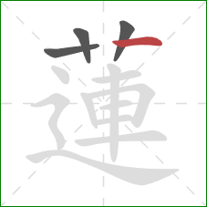 蓮的笔顺第4画:横 蓮的笔顺第4画:横