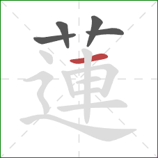 蓮的笔顺第5画:横 蓮的笔顺第5画:横