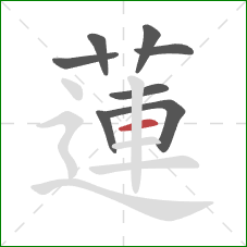 蓮的笔顺第8画:横 蓮的笔顺第8画:横
