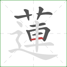 蓮的笔顺第9画:横 蓮的笔顺第9画:横