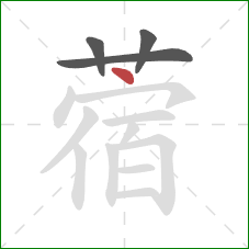 蓿的笔顺第4画：点