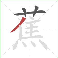 蕉的笔顺第4画：撇