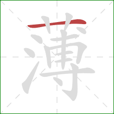 薄的笔顺第1画：横