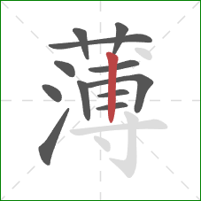 薄的笔顺第12画：竖