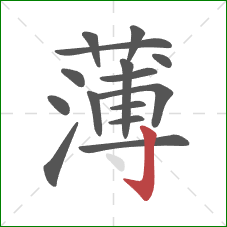 薄的笔顺第15画：竖钩