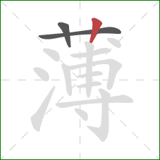 薄的笔顺第3画：竖