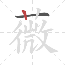 薇的笔顺第2画:竖 薇的笔顺第2画:竖