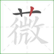 薇的笔顺第3画:竖 薇的笔顺第3画:竖