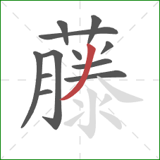 藤的笔顺第12画:撇 藤的笔顺第12画:撇