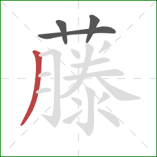 藤的笔顺第4画:撇 藤的笔顺第4画:撇