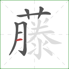 藤的笔顺第7画:横 藤的笔顺第7画:横