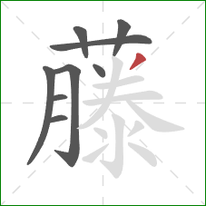 藤的笔顺第9画:撇 藤的笔顺第9画:撇