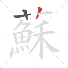 蘇的笔顺第3画：撇