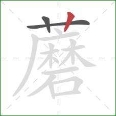 蘑的笔顺第3画：竖