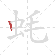 蚝的笔顺第1画：竖