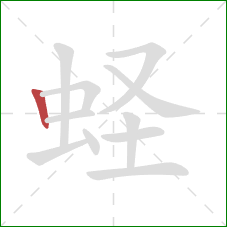 蛏的笔顺第1画:竖 蛏的笔顺第1画:竖