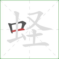 蛏的笔顺第3画:横 蛏的笔顺第3画:横