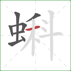 蝌的笔顺第8画:横 蝌的笔顺第8画:横