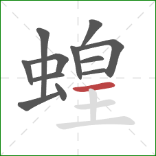 蝗的笔顺第12画：横