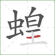 蝗的笔顺第13画：横