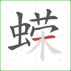 蝾的笔顺第12画：横