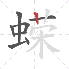 蝾的笔顺第8画：竖
