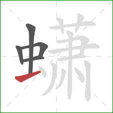 蟏的笔顺第5画:横 蟏的笔顺第5画:横