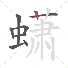 蟏的笔顺第8画:竖 蟏的笔顺第8画:竖