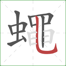 蠅的笔顺第12画:横 蠅的笔顺第12画:横