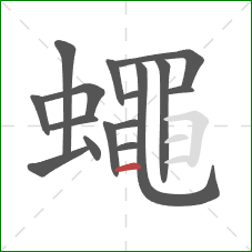 蠅的笔顺第16画:横 蠅的笔顺第16画:横