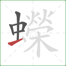 蠑的笔顺第5画：横