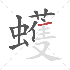 蠖的笔顺第13画:横 蠖的笔顺第13画:横