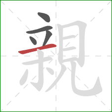 親的笔顺第5画:横 親的笔顺第5画:横