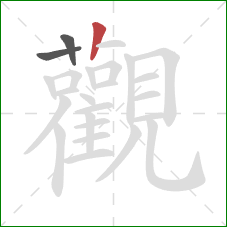 觀的笔顺第3画：竖