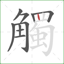 觸的笔顺第10画:竖 觸的笔顺第10画:竖