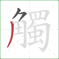 觸的笔顺第3画:撇 觸的笔顺第3画:撇