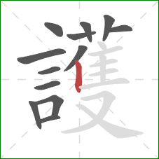 護的笔顺第13画：竖