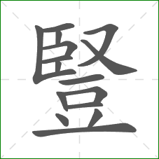 豎的部首 豎的部首