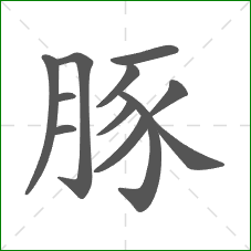 豚的部首 豚的部首