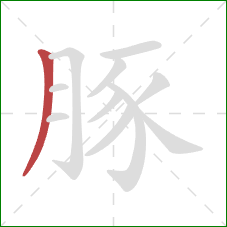 豚的笔顺第1画:撇 豚的笔顺第1画:撇