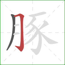 豚的笔顺第2画:横折钩 豚的笔顺第2画:横折钩